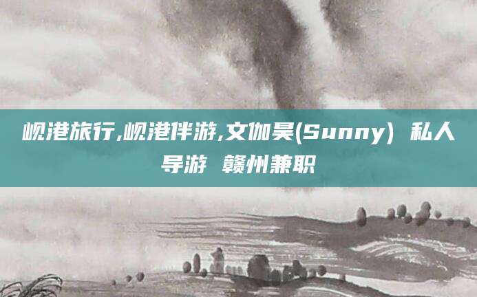 海北岘港旅行,岘港伴游,文伽昊(Sunny) 私人导游 赣州兼职
