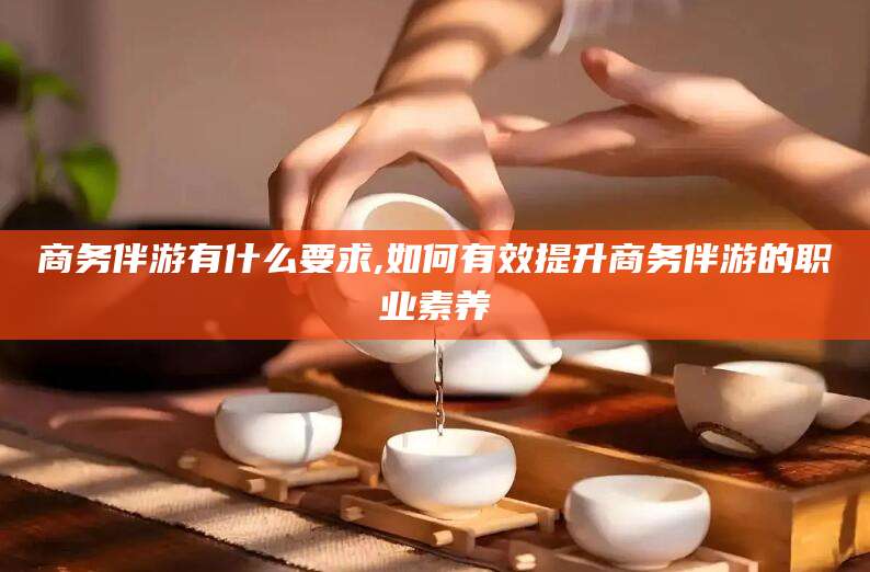 海北商务伴游有什么要求,如何有效提升商务伴游的职业素养