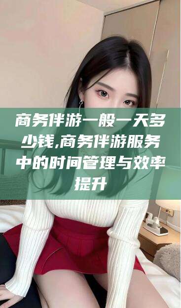 海北商务伴游一般一天多少钱,商务伴游服务中的时间管理与效率提升